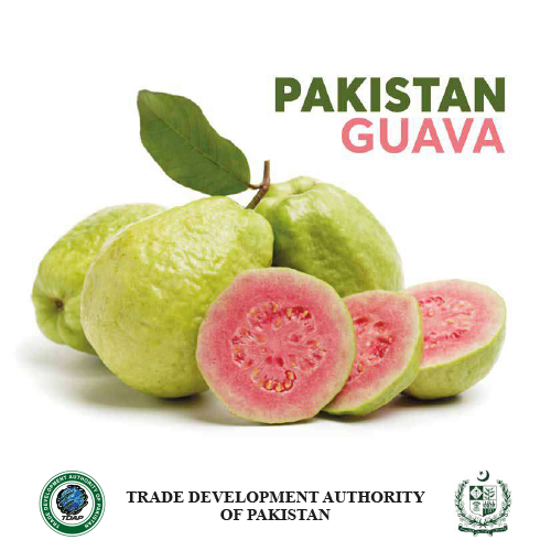 Guava